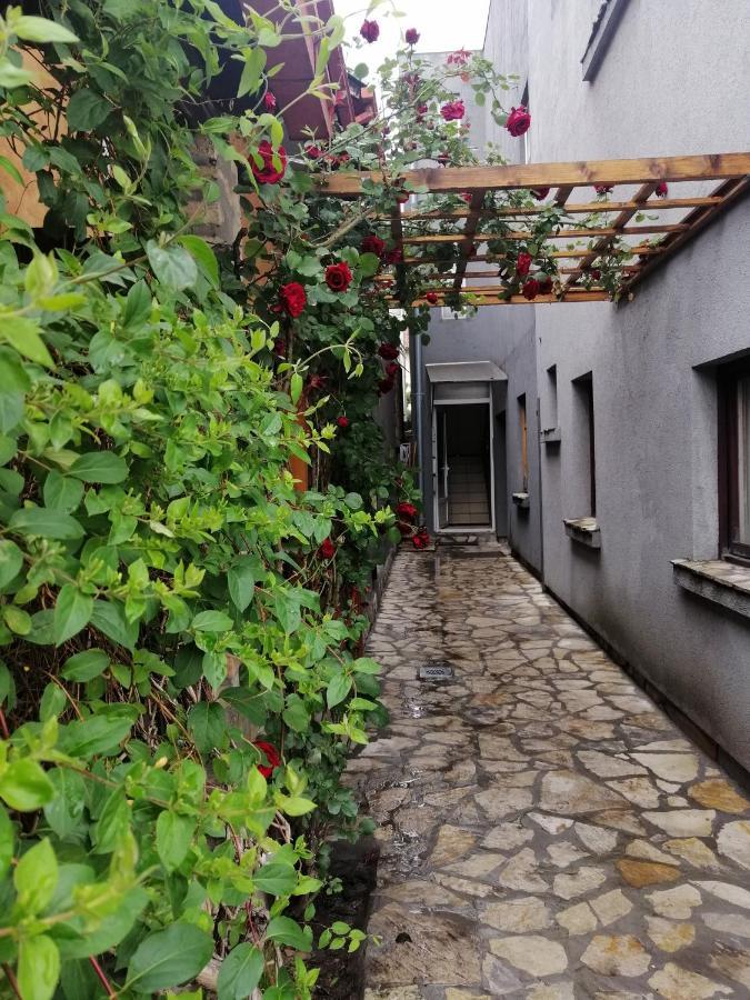 Nest Hotell Belgrad Exteriör bild