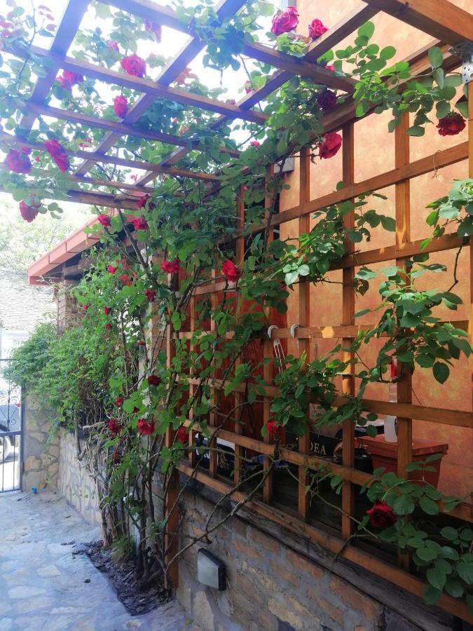 Nest Hotell Belgrad Exteriör bild